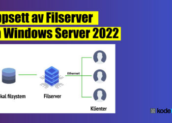 Oppsett av Filserver på Windows Server 2022