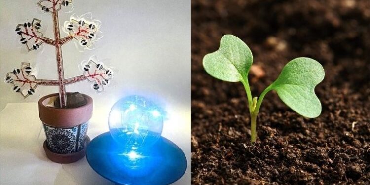 Forskere utvikler kunstig plante som både produserer strøm og renser luften