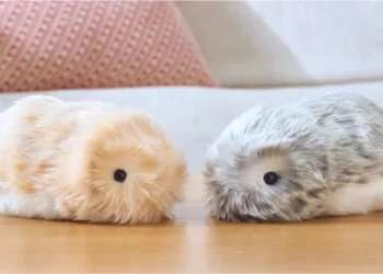 Casio lanserer Moflin – en koselig robot med kunstig intelligens